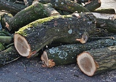 Logs for Sale Horsham
